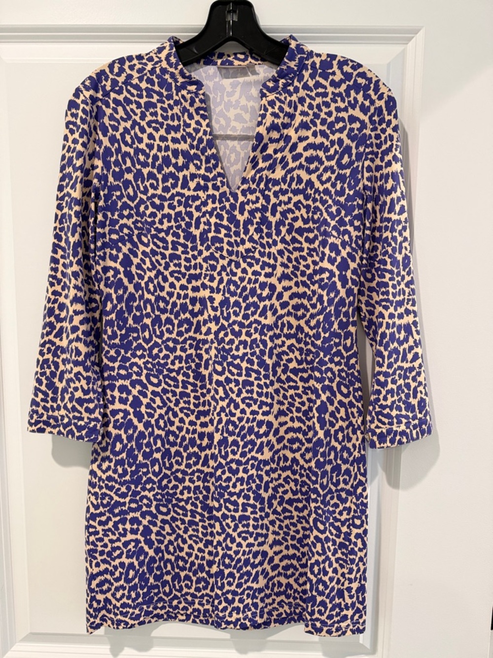 Blue and Cream Leopard Print Mini Dress